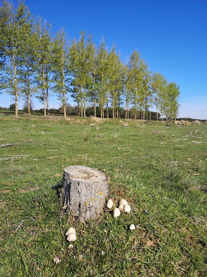 L' Abilleiru Albergue Rural Santibanez de Valdeiglesias Екстер'єр фото